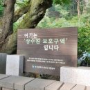 법기수원지 이미지