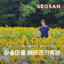 해바라기어린이집 | 충남 서산 여행 가볼만한곳 하솔마을 해바라기축제 개화현황 및 솔직한 후기