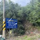 농소농협 해오름지점 이미지