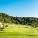 캐슬 골프 이미지