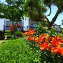 노을드림 펜션 이미지