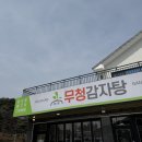 무청감자탕삼척점 네이버블로그