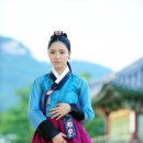 뿌리깊은 나무 이미지