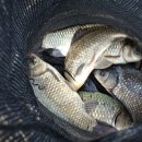 행복 낚시터 이미지