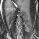 부평24시 SKY 동물의료센터 이미지