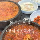 물만난 버섯 | 평택 버섯 육개장 맛집 물만난 버섯, 진한 국물 해장하기 좋은 곳