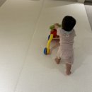 거실 복도 층간 소음방지매트 시공 파크론 롤매트 추천 아기 놀이 매트 셀프 시공 후기