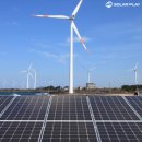 샤넬전력태양광발전소 이미지