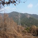 배치농장 이미지