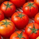 더조은농장 이미지