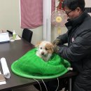 정발산역2번 출구(문화광장) 이미지