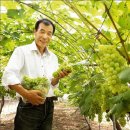 시골애(愛) 이미지