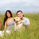 남지애견샵 이미지