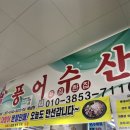 P-7116 | 방어 맛집 울산 대방어 농수산물시장 풍어수산 후기 포장 가격 내돈내산