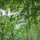 신송약수터 이미지