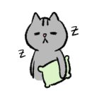 뉴칸 이미지