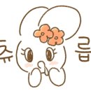 홀딱삐낀산오징어