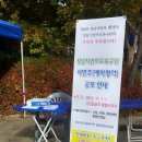 수내3동주민자치센터 | [성남 축제 ] 분당 수내 3동 주민자치센터 작품발표회 개최 ~~작품 전시 및 공연 등~~