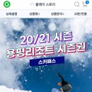 용평리조트 시즌권 판매 이미지