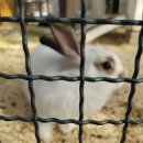 동해삼겹살 이미지