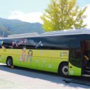 단양초등학교 이미지