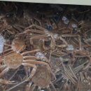 명품수산 이미지