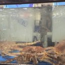 통통마트