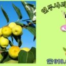 르컬렉티브 여수 이미지
