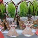 삼육라이튼어린이집 이미지