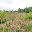 덕산자동차공업사 이미지