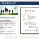 엘케이에스 이미지