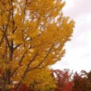 서밋모텔 이미지