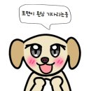 포탠 | 포탠 태닝 후기 모음 :)