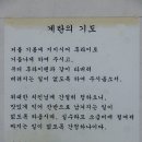 청원산단2길 2R | 오창김치찌개 끝판왕 오창밥집 동가정 청주오창맛집 추천