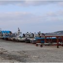 죽도(대섬) Daum카페