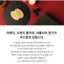 [러쉬] 1n 년의 추천