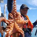 나라3호 이미지