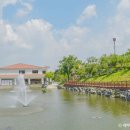 용인자작나무숲펜션 이미지