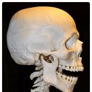 (주)이학 이미지