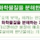 이새제주점 이미지