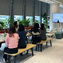 지멘스헬시니어스(주) 이미지