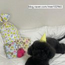 키즈북렌탈 이미지
