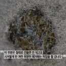세차의달인 - 서구 가정로151번길 4 | 세차의달인