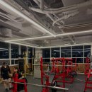 고고 휘트니스 이미지