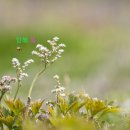 마중공원 이미지