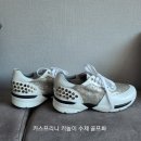 카스프리니 네이버블로그