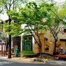 삼덕동주민센터 이미지