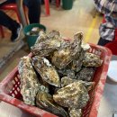 4953 | 제부도 경하네 | 굴 좋아하면 천국 , 굴구이 무한리필 다녀온 후기