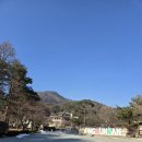 템플스테이 명소 추천 용문사 양평 후기