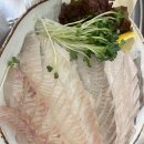 [먹골맛집] 바다생협 대광어 회집 묵동점 후기
